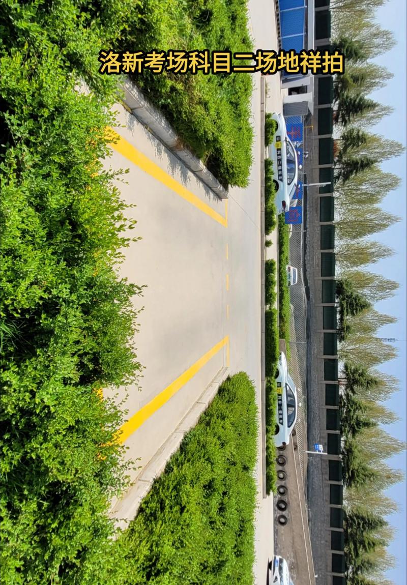 上海学车指南：轻松掌握驾驶技能的实战攻略